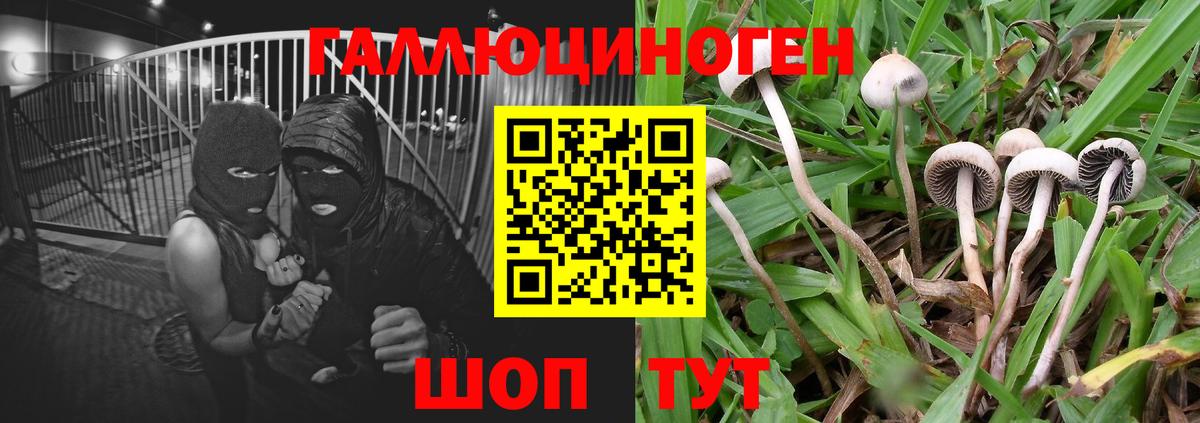 Псилоцибиновые грибы GOLDEN TEACHER Усть-Кут